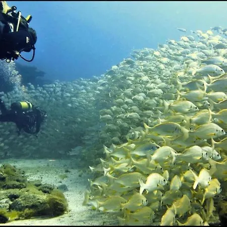 Casa Mari Playa De Mogan Дом отдыха *